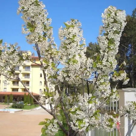 Aparthotel Sunny Dreams Sunny Beach